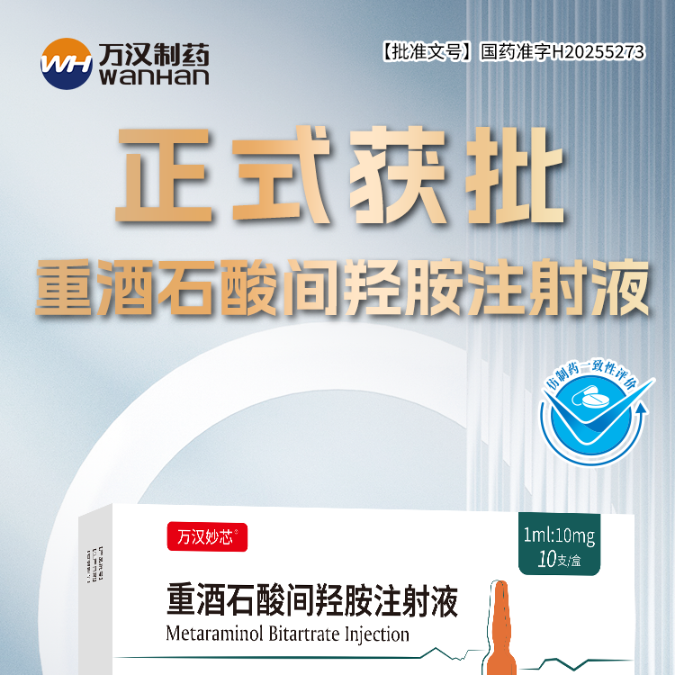 重酒石酸間羥胺注射液