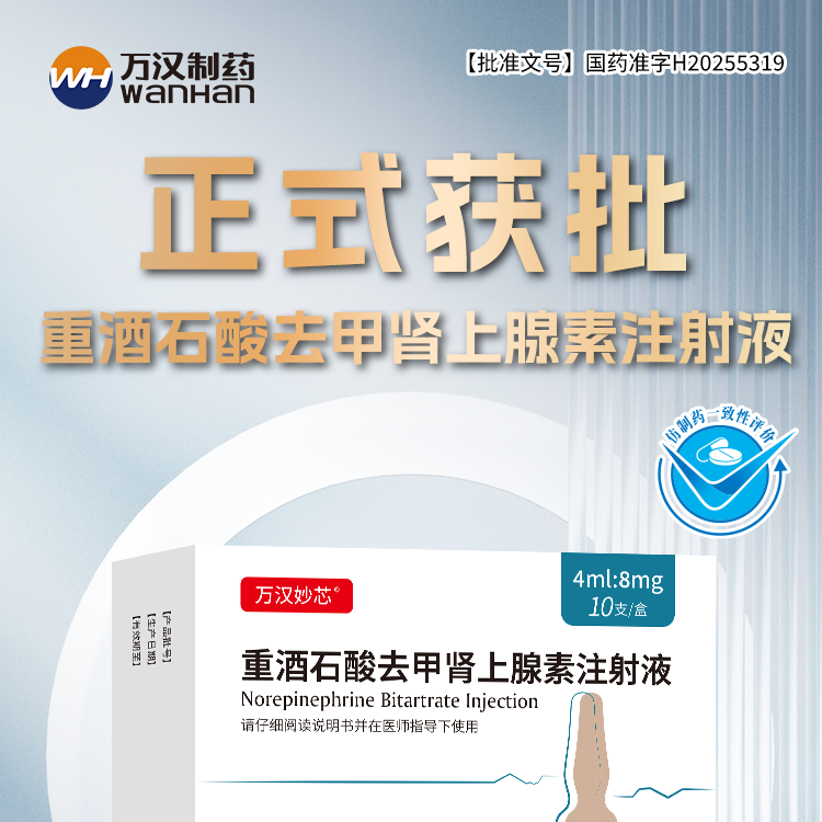 重酒石酸去甲腎上腺素注射液